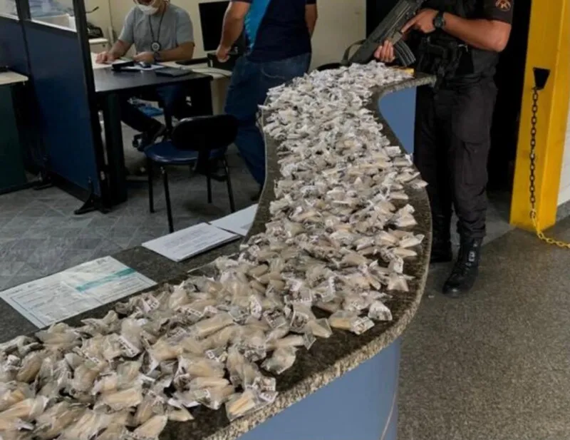 Ao todo, o carregamento de entorpecentes foi avaliado em R$ 15 mil