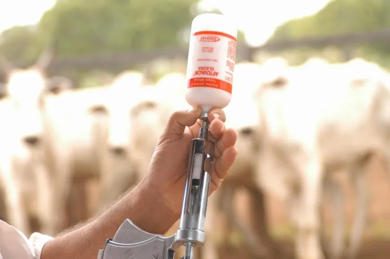 A Secretaria de Agricultura, Pecuária, Pesca e Abastecimento iniciou a vacinação no dia 1⁰ de novembro