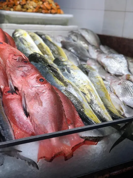 O Estado do Rio produz uma média de 60 mil toneladas de pescado marinho por ano