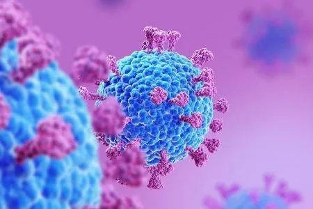 O laboratório da Fundação Oswaldo Cruz (Fiocruz) do Rio de Janeiro, que recebeu as duas amostras para a análise, constatou a presença de linhagens distintas do vírus, confirmando ser um caso de reinfecção