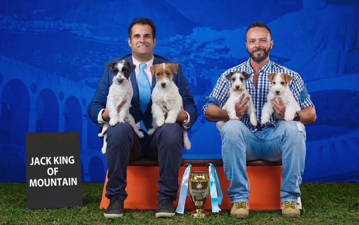 A competição destina-se a amantes de cães e profissionais da cinofilia com atividades para todos os gostos
