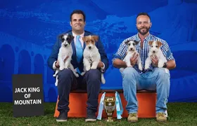 Canil de Itaipuaçu participa de Campeonato Carioca de Cinofilia na próxima sexta-feira (30)