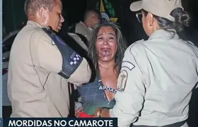 Mulher é presa após morder pessoas em camarote da Sapucaí durante desfile