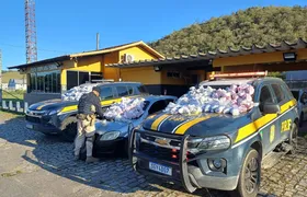 Na BR-101, Polícia apreende carga de drogas que seria levada para a Região dos Lagos