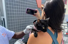 Campanha de vacinação antirrábica animal chega à Zona Norte de Niterói no próximo sábado