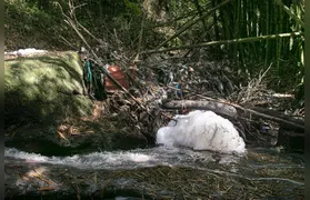 Rio Sapê: comunidade se mobiliza para recuperar biodiversidade e resgatar memórias