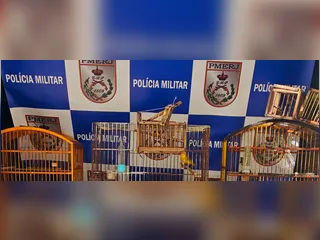 Alçapões e pássaros são apreendidos em Cabo Frio após denúncia ao Linha Verde