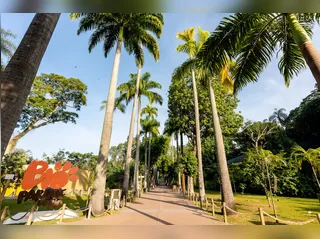 BioParque do Rio anuncia a chegada de novos animais nessas férias e inaugura o inédito 'Reino dos Axolotes'