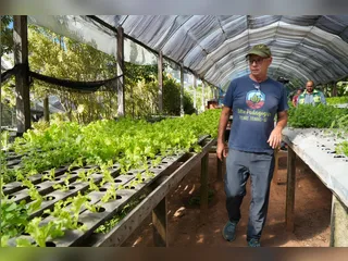 Sítio em São Gonçalo se destaca com produção natural de alfaces e projetos sociais