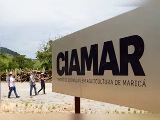 Tilápias cultivadas no Ciamar, em Maricá, serão entregues a moradores do 'Minha Casa, Minha Vida', em Itaipuaçu