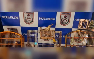 Alçapões e pássaros são apreendidos em Cabo Frio após denúncia ao Linha Verde