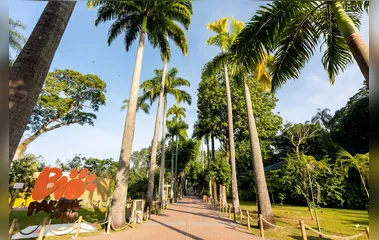 BioParque do Rio anuncia a chegada de novos animais nessas férias e inaugura o inédito 'Reino dos Axolotes'