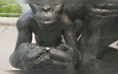 Escultura de macacos com celulares é removida da Praça Arariboia após furtos