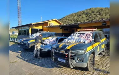 Na BR-101, Polícia apreende carga de drogas que seria levada para a Região dos Lagos