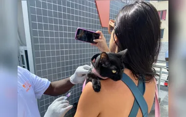 Niterói realiza segunda etapa da campanha de vacinação antirrábica animal neste sábado (11)