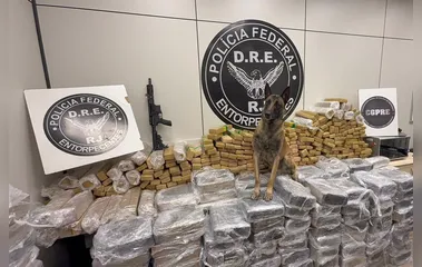 PF prende caminhoneiro com cerca de 1 tonelada de maconha e um fuzil na Rodovia Presidente Dutra