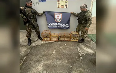 Pássaros silvestres são resgatados de cativeiro ilegal em Araruama