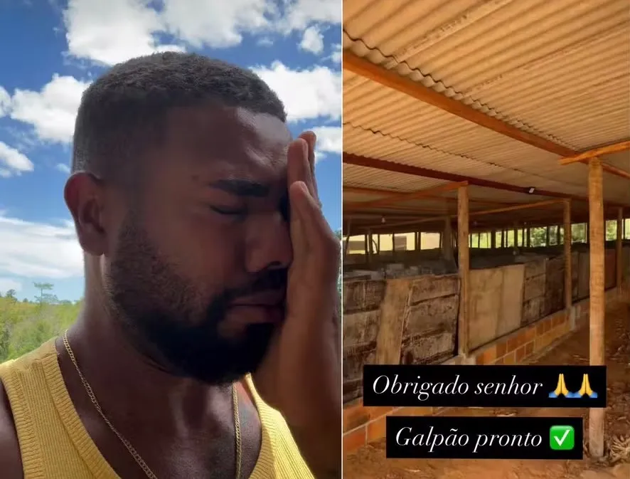 Campeão do 'BBB 24', Davi Brito constrói galpão para criar galinhas e se emociona