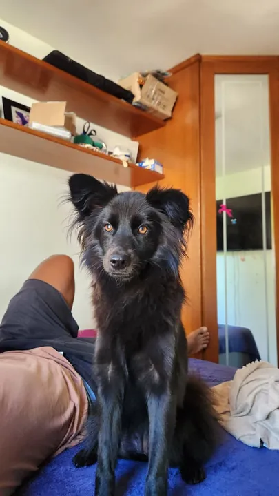 Família oferece recompensa por informações