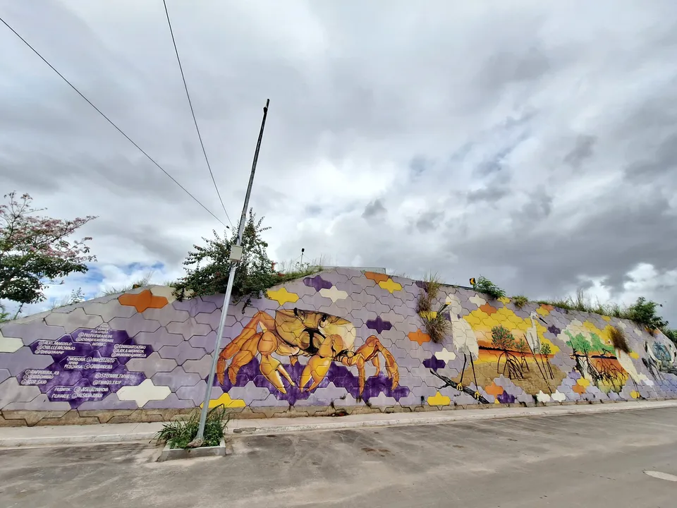 Mangue-Praia das Pedrinhas