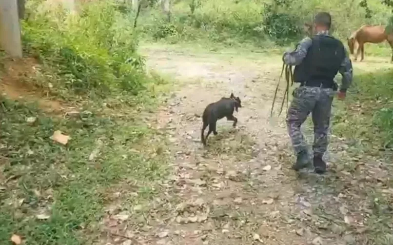 Operação foi realizada nessa quarta-feira (3)