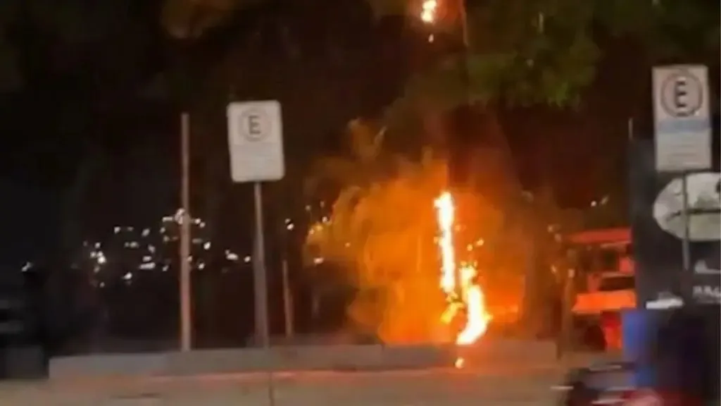 Uma árvore foi incendiada por causa da queda da fiação