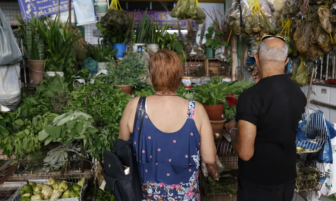 As preparações promovem o bem-estar e, por isso, no fim de ano, cresce a procura por folhas para banhos