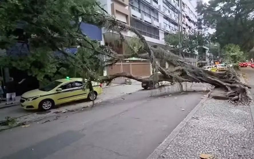 Autoridades querem evitar transtornos causados pelo vento que atingiu a região metropolitana na última semana