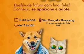 2ª Edição do Desfile Adota Pet terá 20 animais jovens e idosos em busca de um lar