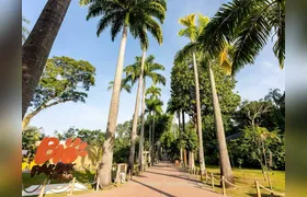 BioParque do Rio promove nova Sessão Azul para pessoas com TEA neste domingo (8)