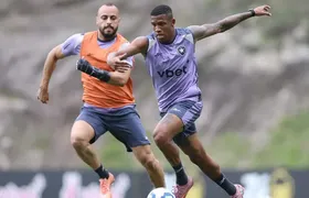 Botafogo enfrenta o Grêmio, neste sábado (22)