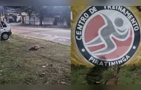 Duas capivaras são encontradas mortas em Piratininga