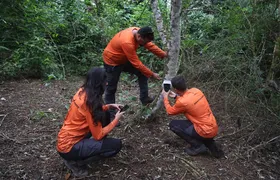 Estado do RJ divulga registros inéditos da fauna em áreas restauradas por programa Florestas do Amanhã