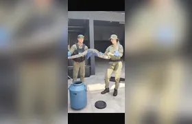 Guarda Ambiental resgata duas cobras na Região Oceânica de Niterói