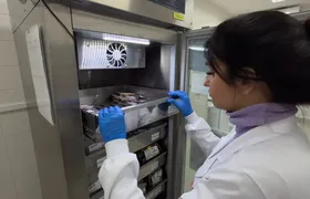 Hospital Estadual Alberto Torres (Heat), em São Gonçalo,  inicia campanha emergencial de doação de sangue