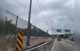OSG faz por você: Limpeza é feita na BR-101 após denúncia de lixo e mato alto