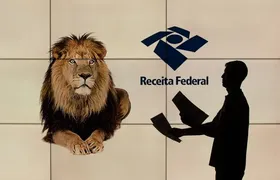 Prazo para declaração do Imposto de Renda começa nesta segunda-feira (23)