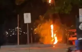Queda de fiação provoca incêndio em árvore e assusta moradores em Charitas