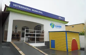 São Gonçalo oferece mais de mil vagas para castração de cães e gatos este mês