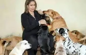 Sindicato faz apelo humanitário em favor da jornalista Patrícia Nunes