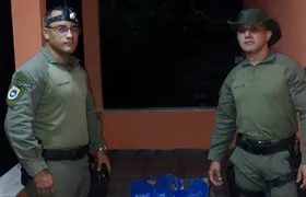 Visita inesperada na varanda: preguiça é resgatada e devolvida à natureza em Niterói