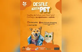 2ª Edição do Desfile Adota Pet terá 20 animais jovens e idosos em busca de um lar