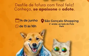 2ª Edição do Desfile Adota Pet terá 20 animais jovens e idosos em busca de um lar