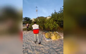 Ação conjunta na orla de Niterói recupera pomar urbano e reforça importância ambiental