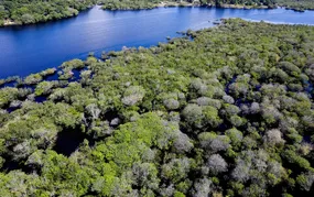 Alertas de desmatamento na Amazônia caem 35% em junho de 2026