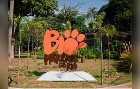BioParque do Rio amplia programação nas férias e funciona todos os dias até o fim de janeiro