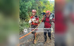 Corpo de Bombeiros RJ resgata quase 6 mil animais em 2026
