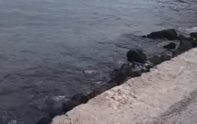 Corpo é avistado boiando na Praia da Boa Viagem, em Niterói, na manhã deste sábado