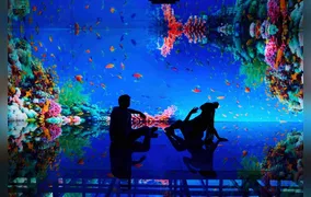 Dias de jogo do Brasil terão meia entrada no AquaRio, Museu de Cera, Mar de Espelhos e GEX