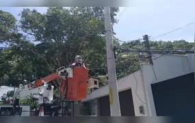Enel rio registra mais de 100 colisões em postes da rede elétrica no primeiro trimestre de 2026